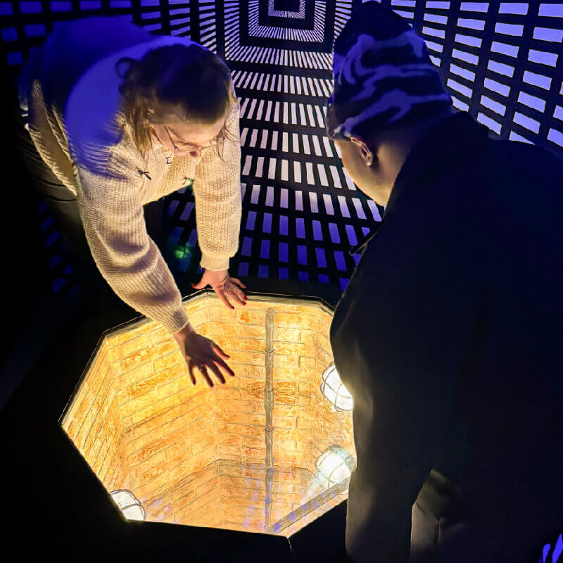 PHENOMENA: The Exhibition
