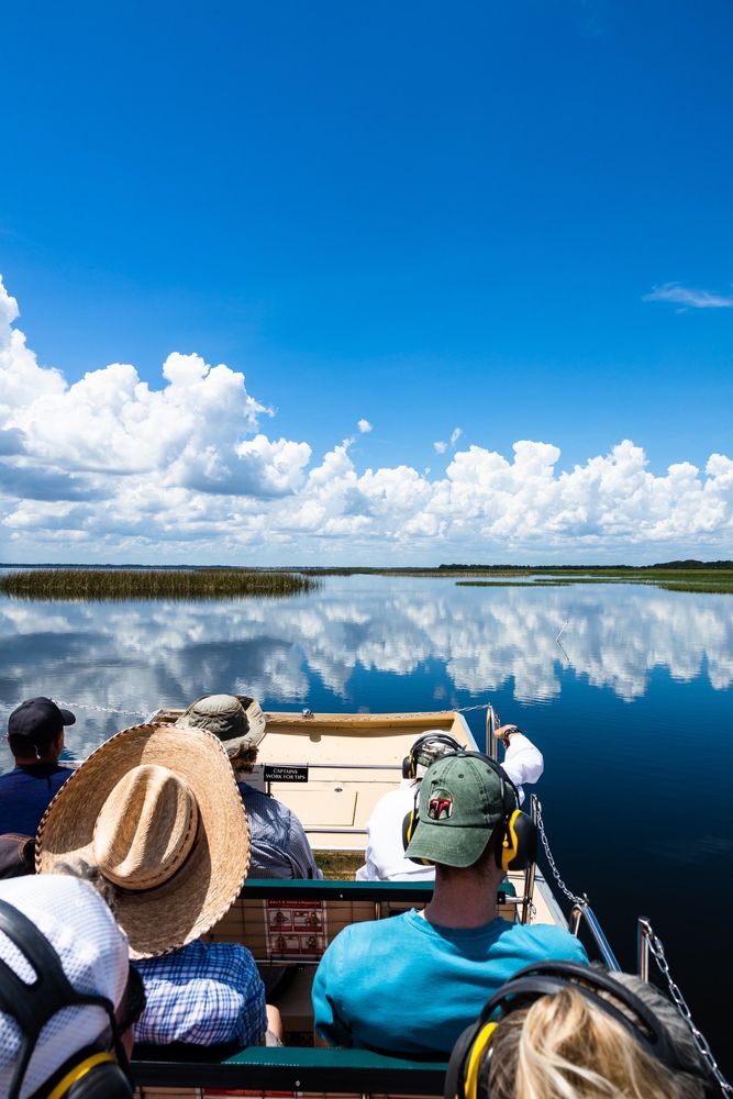 Wild Willy's Airboat Tours